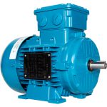 MOTOR WEG IP55-1A
